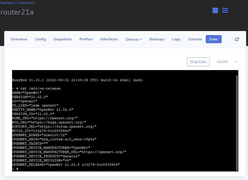 exec to a container on LXD Host Paikea exec to a container