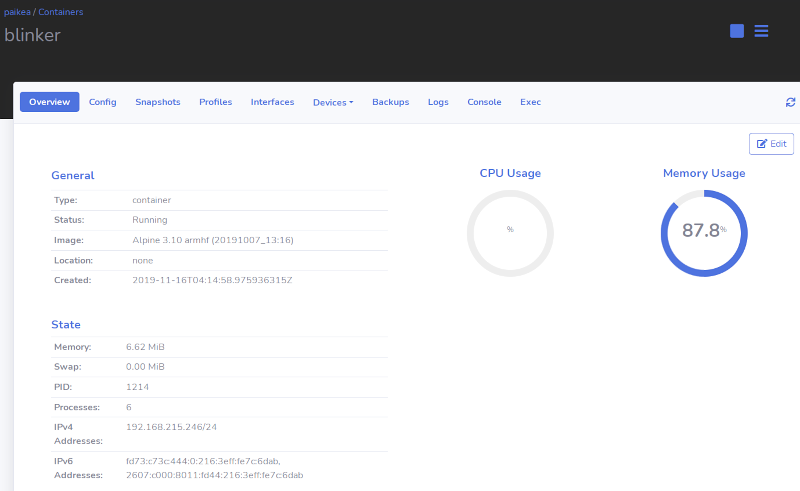 One container on LXD Host Paikea single container