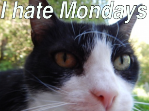IPv6 Mondays